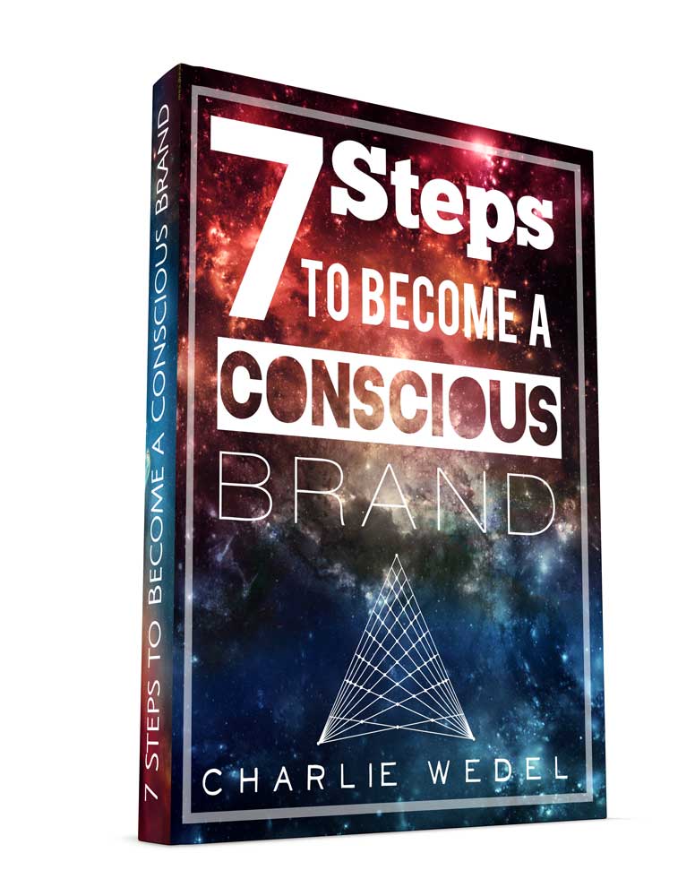 7 steps to become a conscious brand